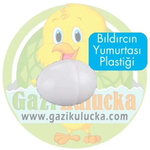 BILDIRCIN YUMURTASI PLASTİK