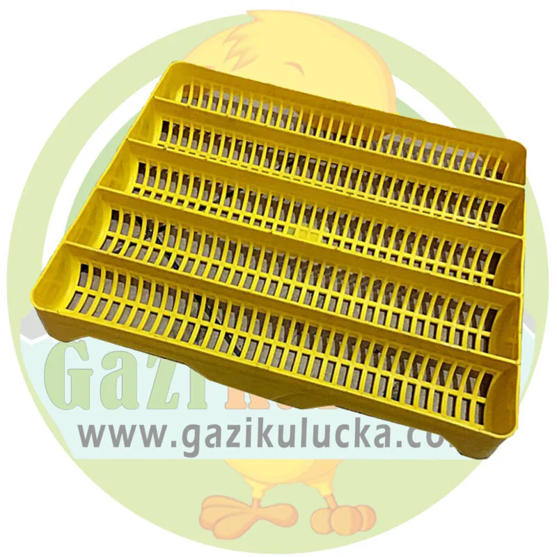 Kaz Viyolü 38 x 31 Kuluçka Gelişim Viyolü Kaz Yumurtası Uyumlu - Görsel 4