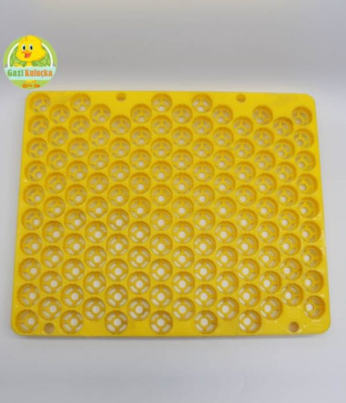 129' Luk Gelişim Viyolü Bıldırcın Yumurtası 38 x 31 cm Kuluçka Malzeme