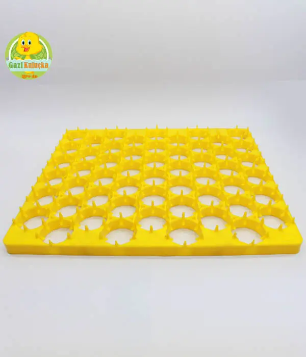 54'lü Tavuk Kuluçka Gelişim Viyolü Tavuk Yumurta Plastiği 38 X 31 Cm ko