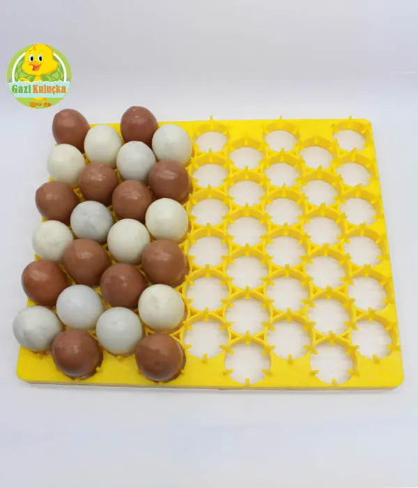 54'lü Tavuk Kuluçka Gelişim Viyolü Tavuk Yumurta Plastiği 38 X 31 Cm ko - Görsel 4