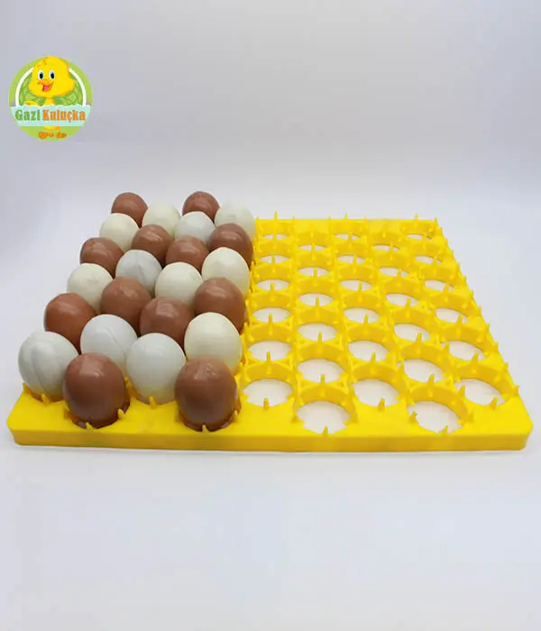 54'lü Tavuk Kuluçka Gelişim Viyolü Tavuk Yumurta Plastiği 38 X 31 Cm ko - Görsel 3