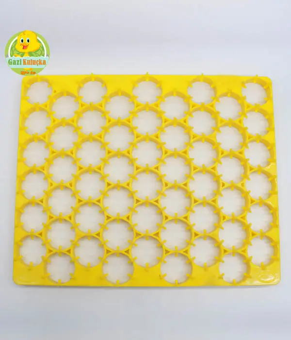 54'lü Tavuk Kuluçka Gelişim Viyolü Tavuk Yumurta Plastiği 38 X 31 Cm ko - Görsel 2
