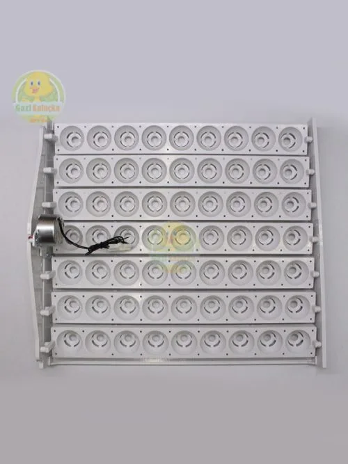 63’Lük Otomatik Kuluçka Gelişim Viyolü 1/240 rpm Motorlu Saatlik Motor