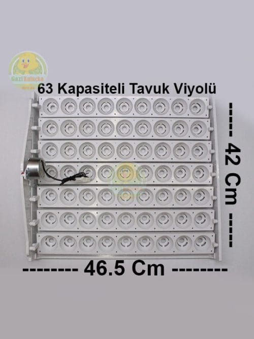 Alternative view of 63’Lük Otomatik Kuluçka Gelişim Viyolü 1/240 rpm Motorlu Saatlik Motor
