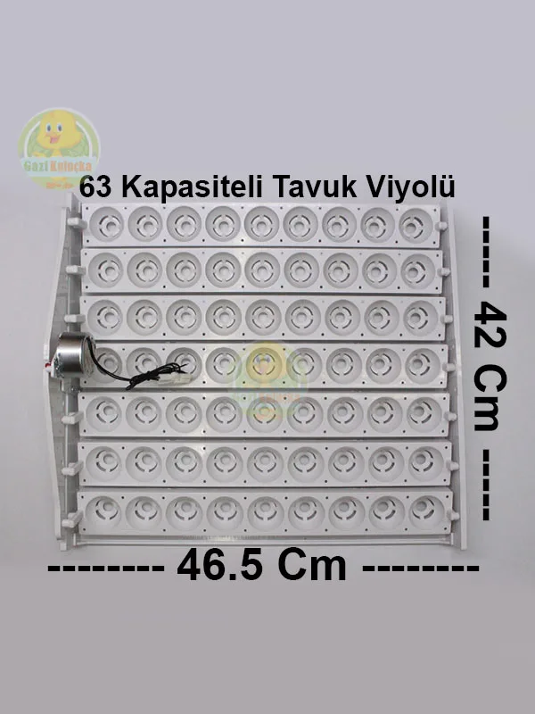 63’Lük Otomatik Kuluçka Gelişim Viyolü 1/240 rpm Motorlu Saatlik Motor - Görsel 2