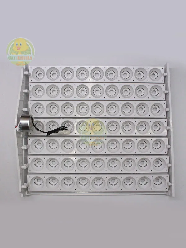 63’Lük Otomatik Kuluçka Gelişim Viyolü 1/240 rpm Motorlu Saatlik Motor