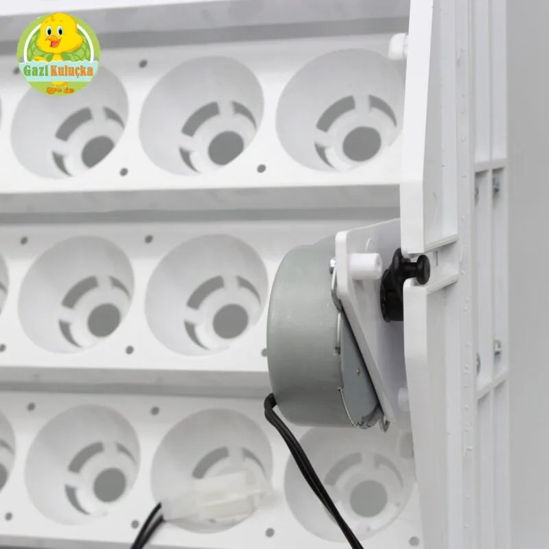 63’Lük Otomatik Kuluçka Gelişim Viyolü 1/2.5 Rpm 4w Yavaş Motor - Görsel 3