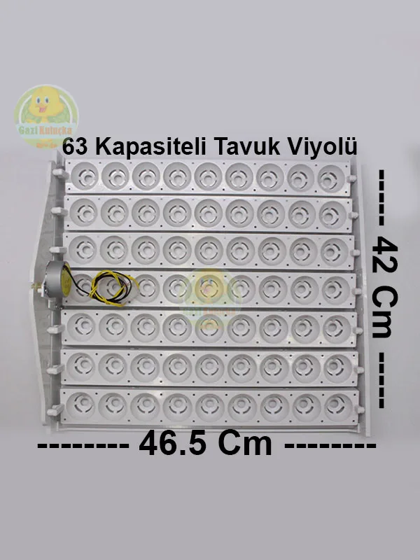 63’Lük Otomatik Kuluçka Gelişim Viyolü 1/2.5 Rpm 4w Yavaş Motor - Görsel 2
