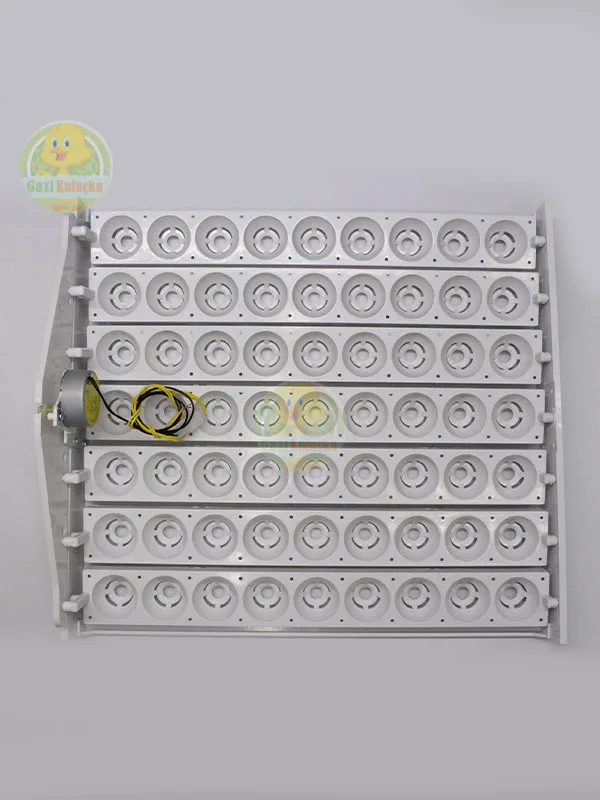 63’Lük Otomatik Kuluçka Gelişim Viyolü 1/2.5 Rpm 4w Yavaş Motor