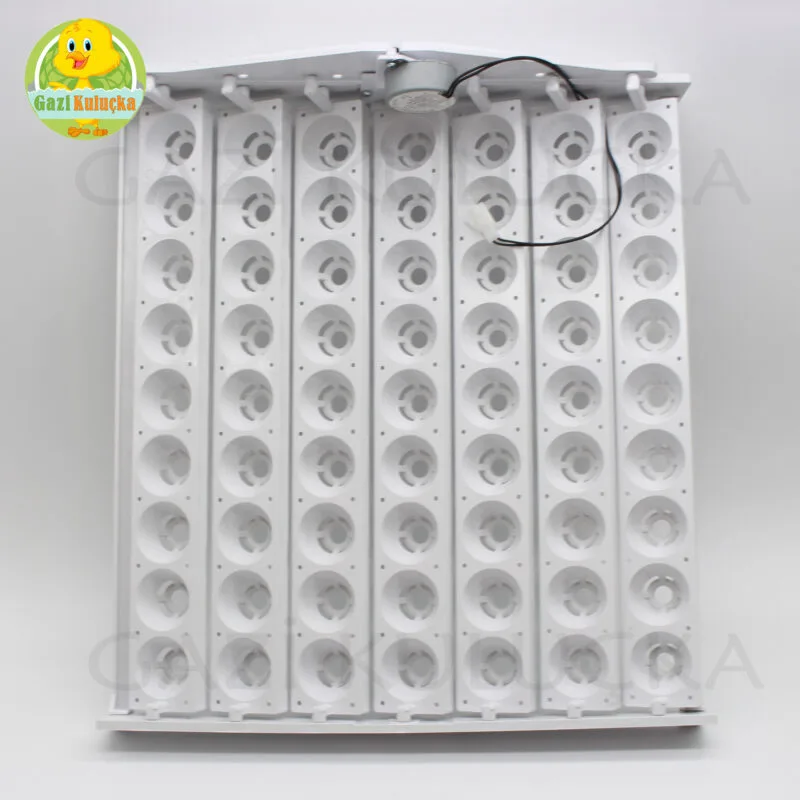 63’Lük Otomatik Kuluçka Gelişim Viyolü 1/2.5 Rpm 4w Yavaş Motor - Görsel 4