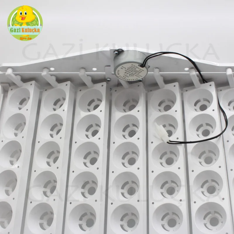 63’Lük Otomatik Kuluçka Gelişim Viyolü 1/2.5 Rpm 4w Yavaş Motor - Görsel 5