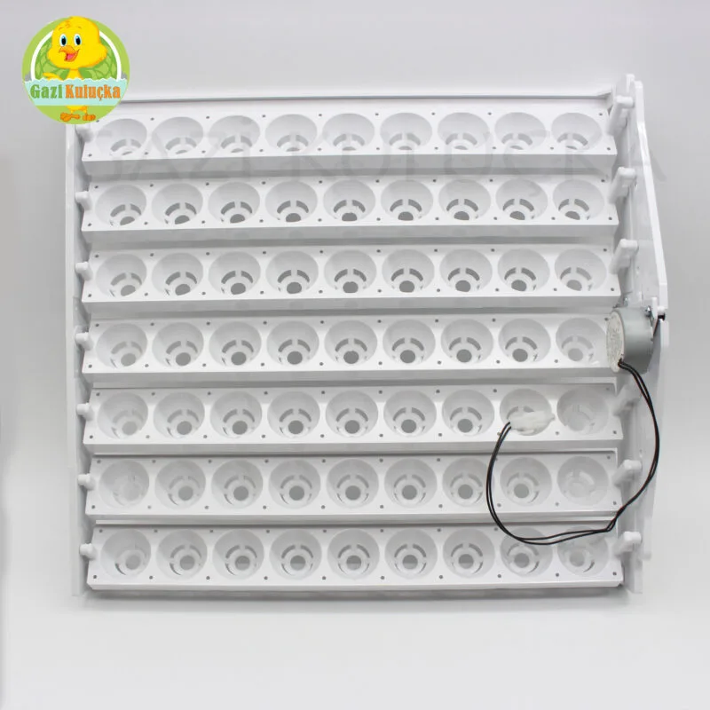 63’Lük Otomatik Kuluçka Gelişim Viyolü 1/2.5 Rpm 4w Yavaş Motor - Görsel 6