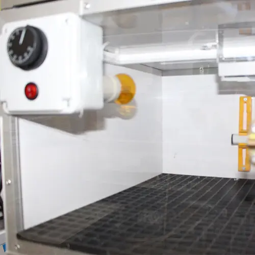 Civciv Evi Ana Kucağı Civciv Büyütme Kafesi Civciv Gelişim Kafesi Kümesi - Görsel 12