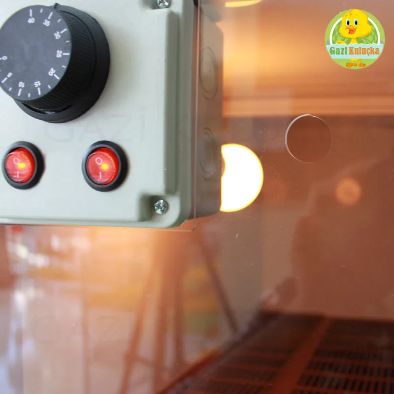 Civciv Evi Ana Kucağı Civciv Büyütme Kafesi Civciv Gelişim Kafesi Kümesi - Görsel 7