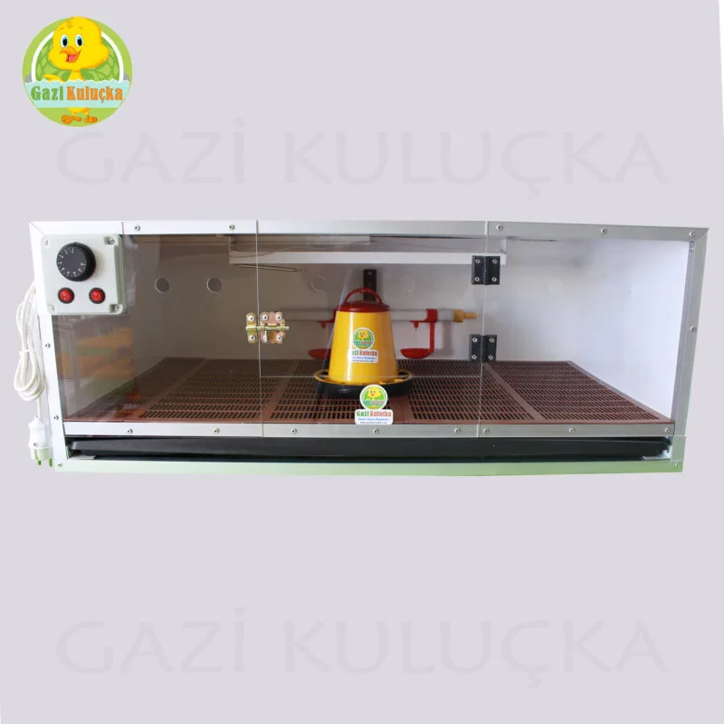 Civciv Evi Ana Kucağı Civciv Büyütme Kafesi Civciv Gelişim Kafesi Kümesi