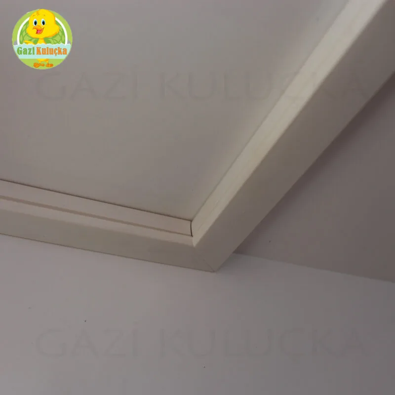 Civciv Evi Ana Kucağı Civciv Büyütme Kafesi Civciv Gelişim Kafesi Kümesi - Görsel 5