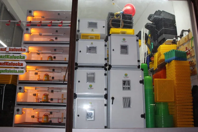 Civciv Evi Ana Kucağı Civciv Büyütme Kafesi Civciv Gelişim Kafesi Kümesi - Görsel 15