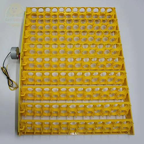 216 Gözlü Bıldırcın Viyolü Motorlu Gelişim Tablası 2.5 rpm Normal Motor 38×55
