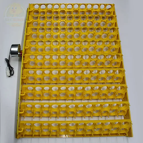 216 Gözlü Bıldırcın Viyolü Motorlu Gelişim Tablası 1/240 rpm Saatlik Motor 38×55