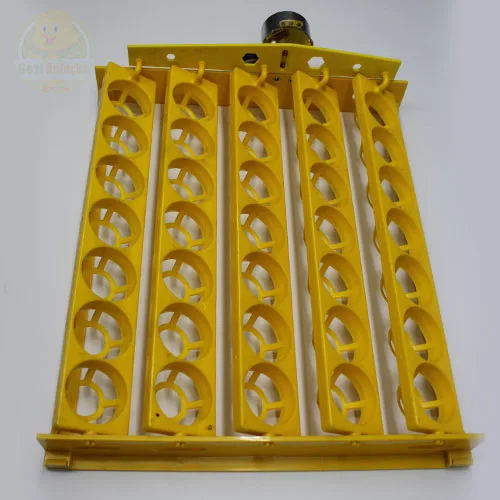 35 lik Motorlu Tavuk Gelişim Tablası 1/240 rpm Saatlik Motor Gelişim Viyolü 38×31 - Görsel 3