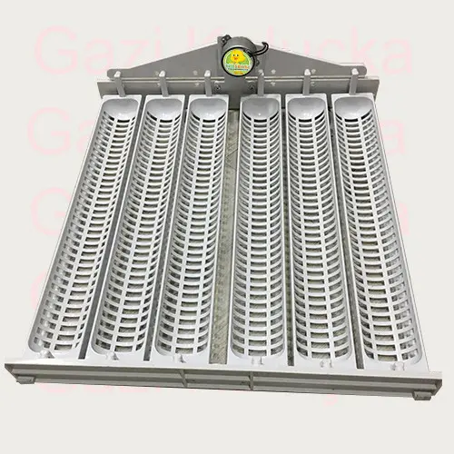 36 Kaz- 192 Bıldırcın Otomatik Kuluçka Gelişim Viyolü 2.5 rpm Motor - Görsel 3