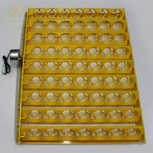 63 lük Motorlu Tavuk Gelişim Tablası 1/240 rpm Saatlik Motor Gelişim Viyolü 38×55