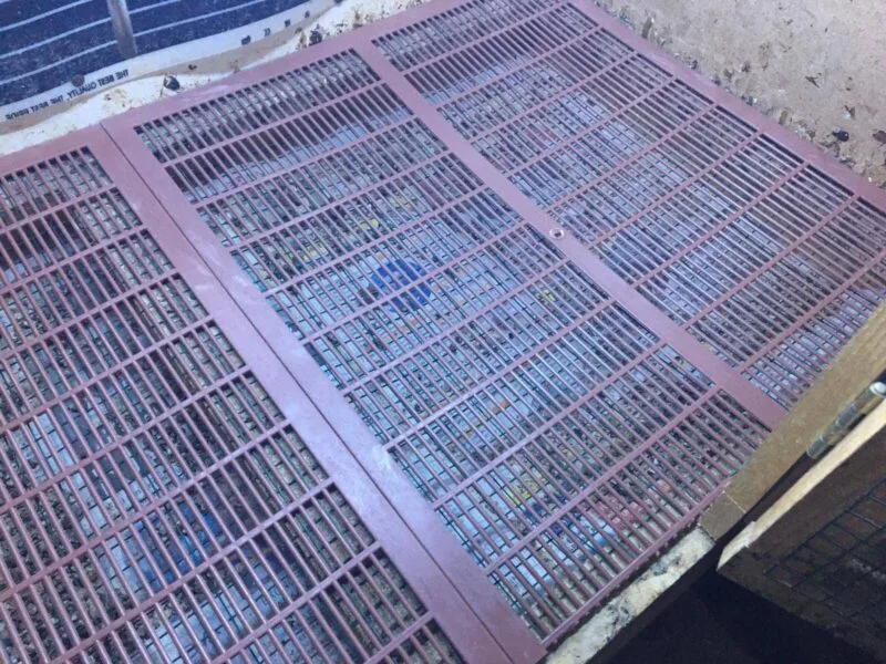 Ekonomik Civciv Bıldırcın Zemin Izgarası Plastik 500x420mm - Görsel 4