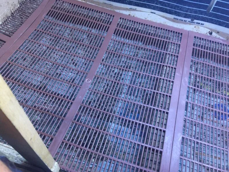 Ekonomik Civciv Bıldırcın Zemin Izgarası Plastik 500x420mm - Görsel 5