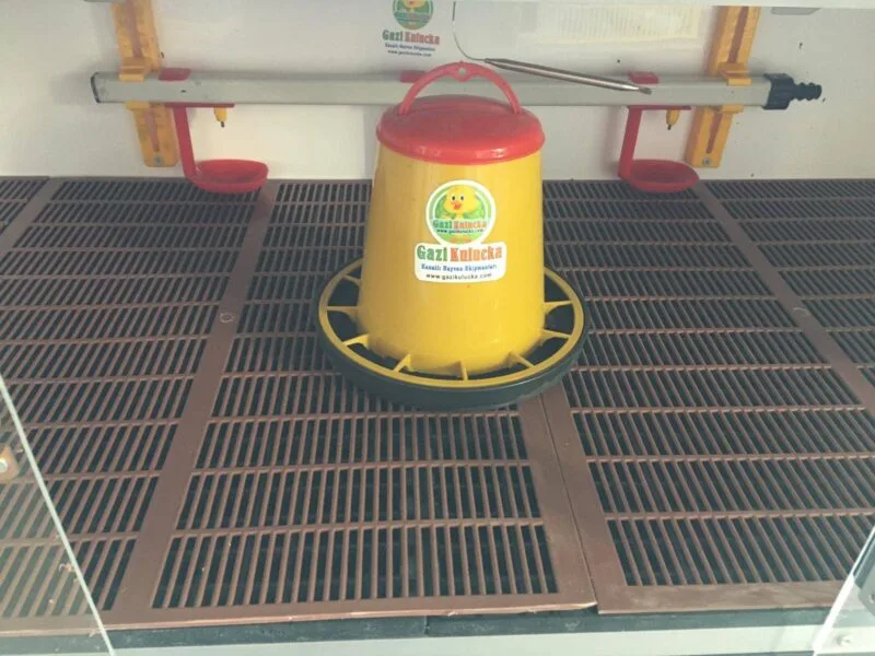 Ekonomik Civciv Bıldırcın Zemin Izgarası Plastik 500x420mm - Görsel 3