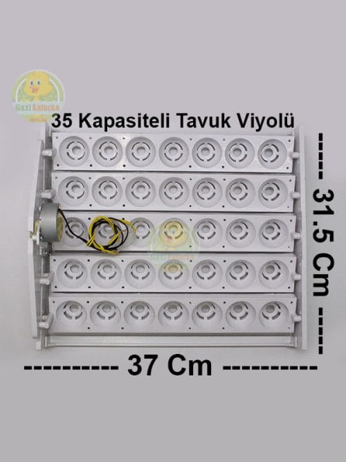 Alternative view of Kuluçka Yumurta Gelişim Viyolü 35'lik Tavuk Otomatik ( 1/2,5 Rpm 4 Watt )