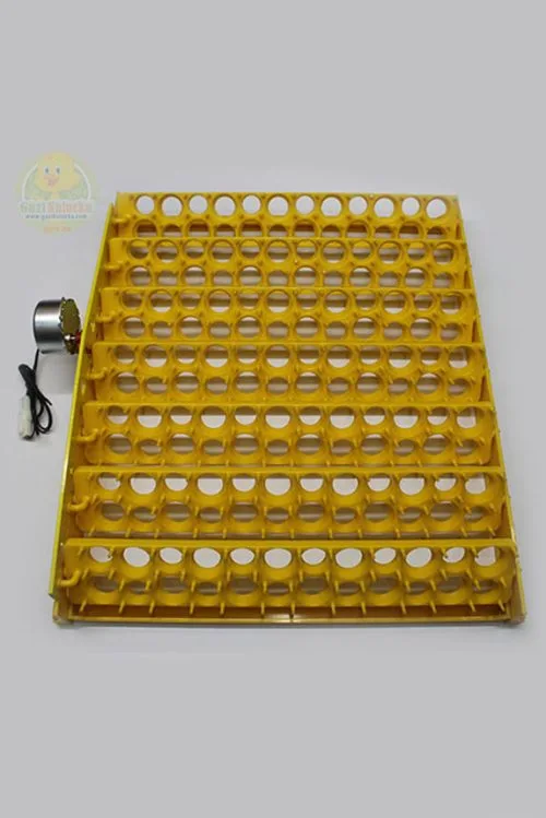 168  Gözlü Bıldırcın Viyolü Motorlu Gelişim Tablası 1/240 rpm Saatlik Motor 38×49