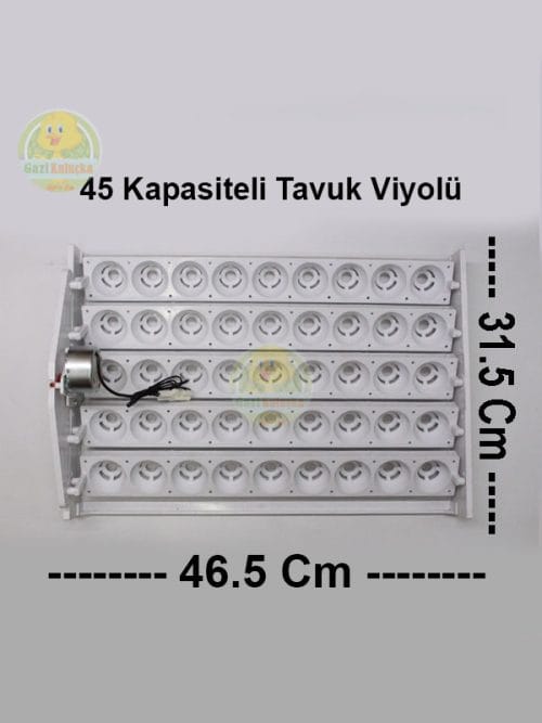 Alternative view of Kuluçka Yumurta Gelişim Viyolü 45'lik Tavuk Otomatik ( 1/240 Rpm 4 Watt ) Saatlik Motor