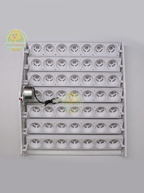 49'lukTavuk Kuluçka Yumurta Gelişim Viyolü Otomatik ( 1/240 Rpm 4 Watt ) Saatlik Motor
