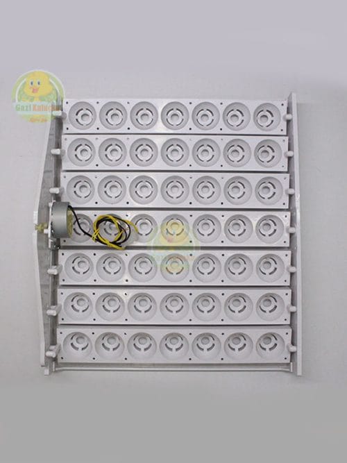 Kuluçka Yumurta Gelişim Viyolü 49'luk Tavuk Otomatik ( 1/2,5 Rpm 4 Watt )