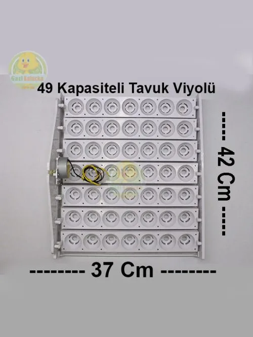 Kuluçka Yumurta Gelişim Viyolü 49'luk Tavuk Otomatik ( 1/2,5 Rpm 4 Watt ) - Görsel 2