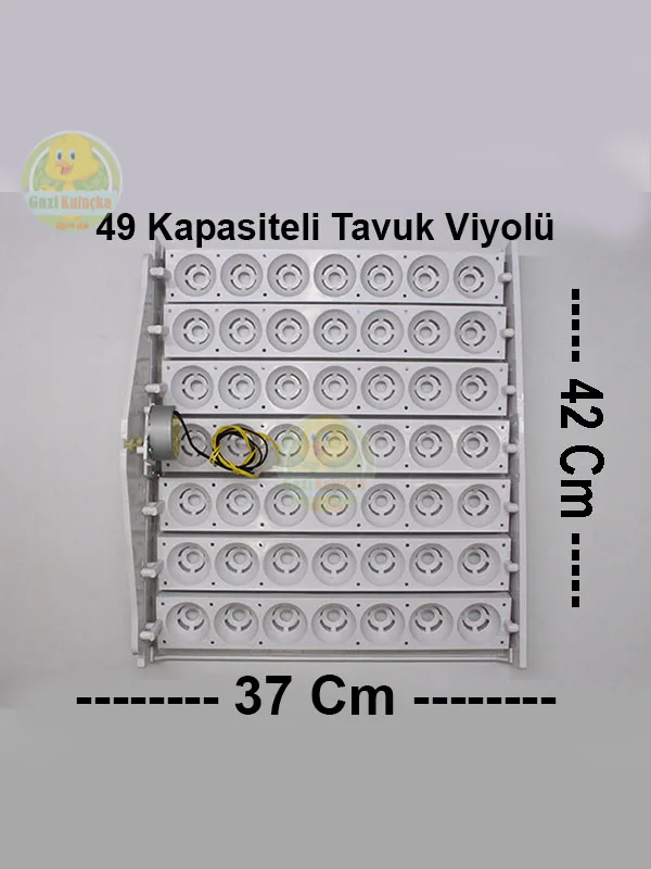 Kuluçka Yumurta Gelişim Viyolü 49'luk Tavuk Otomatik ( 1/2,5 Rpm 4 Watt ) - Görsel 2