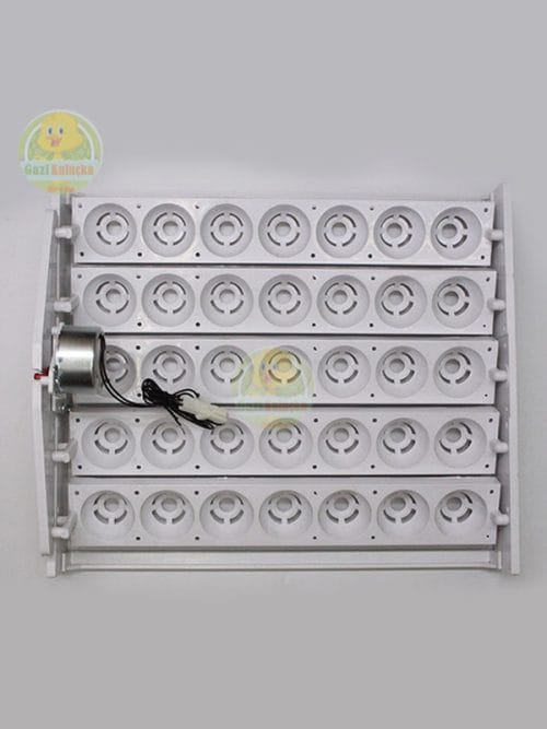 Kuluçka Yumurta Gelişim Viyolü 35'lik Tavuk Otomatik ( 1/240 Rpm 4 Watt ) Saatlik Motor