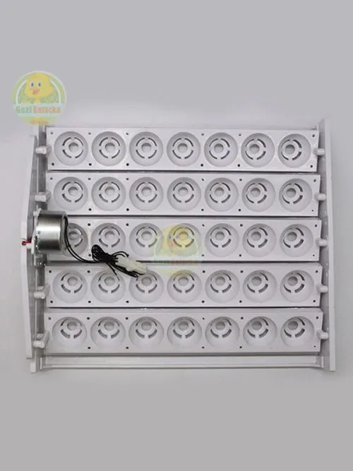 Kuluçka Yumurta Gelişim Viyolü 35'lik Tavuk Otomatik ( 1/240 Rpm 4 Watt ) Saatlik Motor