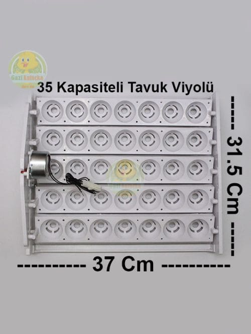 Alternative view of Kuluçka Yumurta Gelişim Viyolü 35'lik Tavuk Otomatik ( 1/240 Rpm 4 Watt ) Saatlik Motor