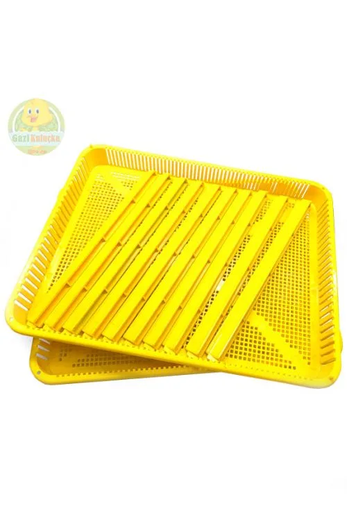Kuluçka Makinesi Uyumlu Gelişim Çıkım Sepeti 53 x 40 x 11 Kapaklı Ve 10 Adet Çıtalı