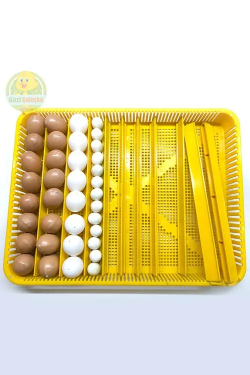 Alternative view of Kuluçka Makinesi Uyumlu Gelişim Çıkım Sepeti 53 x 40 x 11 Kapaklı Ve 10 Adet Çıtalı