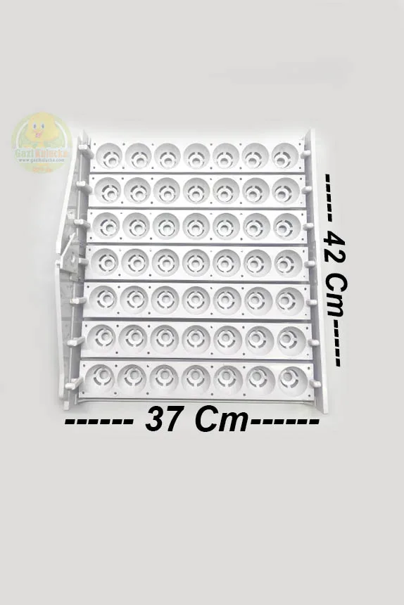 Kuluçka Yumurta Gelişim Viyolü 49’luk Tavuk Otomatik  ( Motorsuz ) - Görsel 2